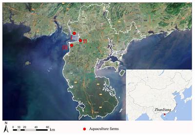 Antimicrobial Resistance of Escherichia coli From Aquaculture Farms and Their Environment in Zhanjiang, China